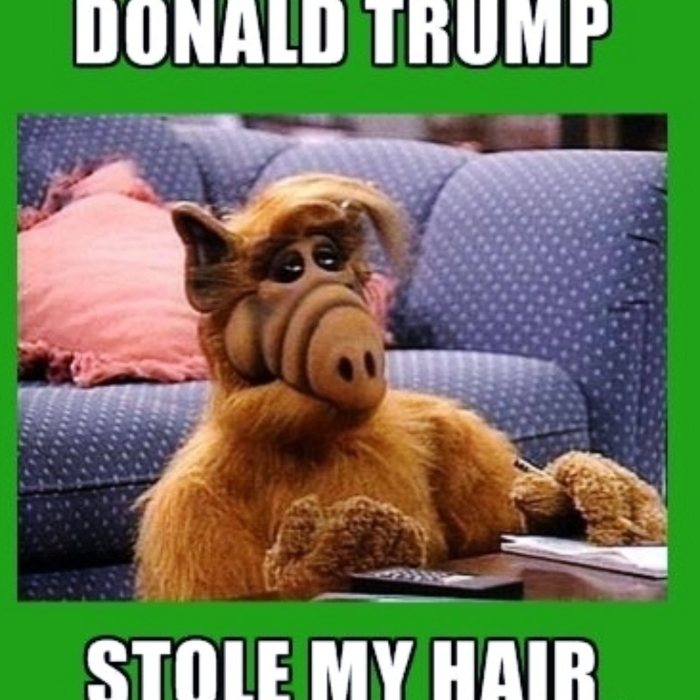 Stuff so that UR Hair won't look like this